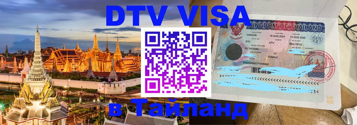 Оформление DTV визы под ключ: стоимость и тарифы, только загранпаспорт - Рубцовск  19.11.2025 